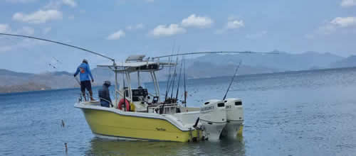 Offshore Fishing Charters Dream Las Mareas, Playa El Jobo